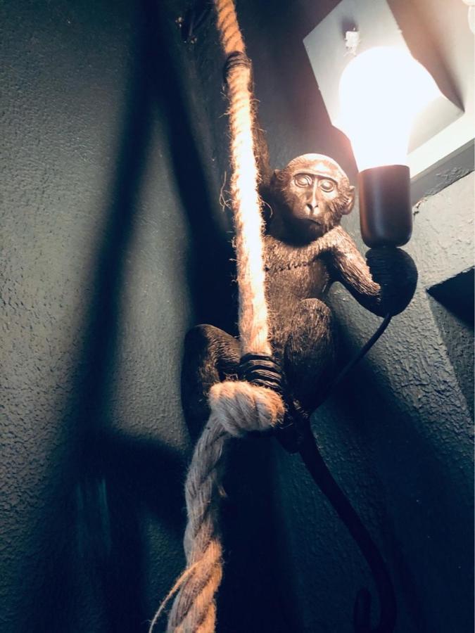 Le jungle charmant appartement avec extérieur Nimes Exterior foto